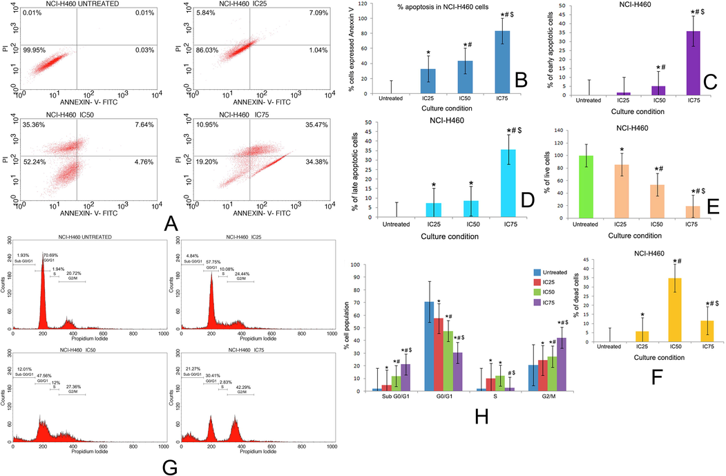 (A) Quadrangular plots representing the Annexin V/PI expression in NCI-H460 cells upon culturing in the presence and absence of taxifolin ruthenium-p-cymene complex with IC25, IC50 and IC75 concentrations. Percentage of (B) apoptosis, (C) early apoptosis, (D) late apoptosis, (E) live cells, and (F) dead cells in NCI-H460 cells at different culture conditions. (G) Distribution of cell cycle phases in NCI-H460 cells upon culturing in the presence and absence of taxifolin ruthenium-p-cymene complex with IC25, IC50 and IC75 concentrations (H) Quantitative analysis of cell cycle phase distribution in NCI-H460 cells. * represented p < 0.05 as compared to untreated cells. Similarly, # represented p < 0.05 as compared to IC25, $ represented p < 0.05 as compared to IC50. Data represented as means ± SEM from different experiments in triplicate. The results were compared using ANOVA, followed by a Tukey’s multiple comparison post-hoc analysis.