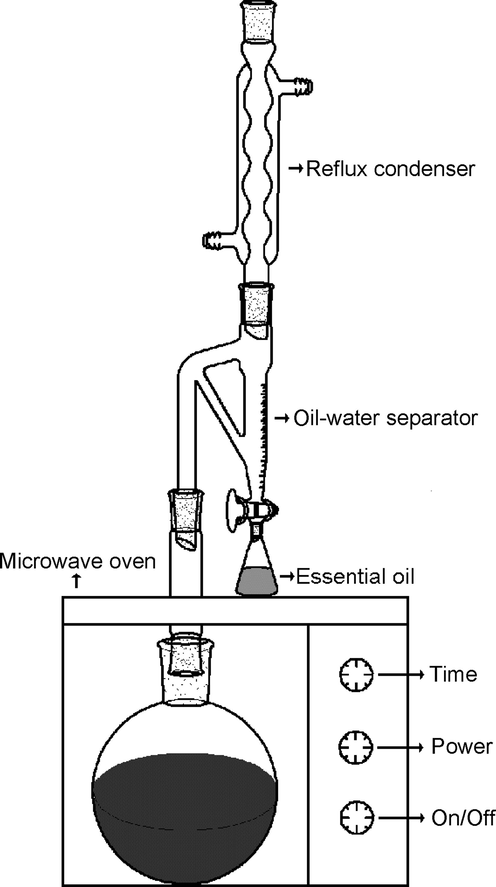 A schematic diagram of the instrumental set up using SFME.