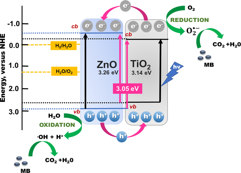 Proposed photocatalyst schematic diagram of the TiO2/ZnO bilayer thin film.