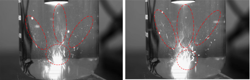 Effect of ultrasound in solution.