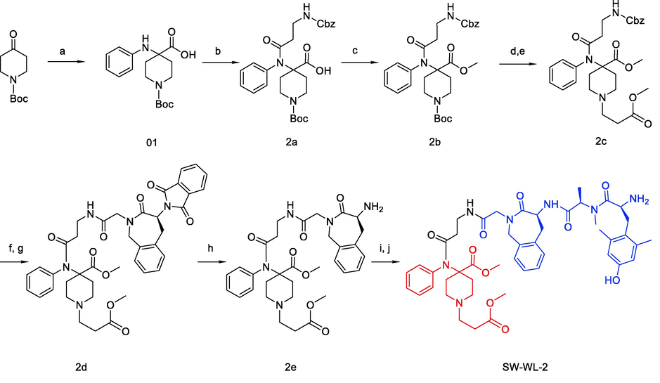 Synthesis of SW-WL-2. Reagents and conditions: (a) PhNH2, NaOH and CHCl3 in THF at 0 °C for 1 h, then rt for 18 h; (b) ClCO(CH2)2COO-Cbz and Et3N in CH2Cl2 at 0 °C, then rt for 4 h; (c) CH3I and Na2CO3 in DMSO at 40 °C for 12 h; (d) 1:1 TFA: CH2Cl2 at rt for 4 h; (e) CH3OOC(CH2)2Br, Et3N, and KI in MeCN at 90 °C (reflux) for 12 h; (f) Pd/C and H2 in MeOH at rt for 3 h; (g) Compound 5 (Scheme S1), HATU, and DIPEA in CH2Cl2 at rt for 4 h; (h) N2H4·H2O in EtOH at 90 °C (reflux) for 1.5 h; (i) Compound 9 (Scheme S1), HATU, and DIPEA in CH2Cl2 at rt for 4 h; (j) 1:1 TFA: CH2Cl2 at rt for 2 h.