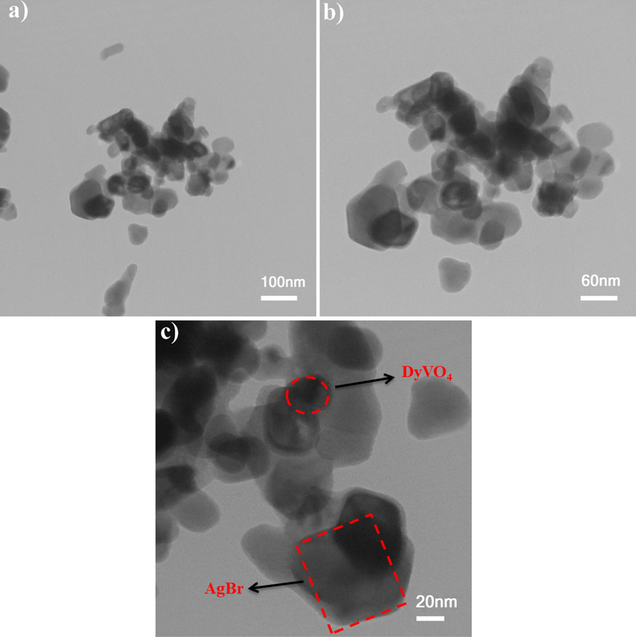 TEM images of DyVO4/AgBr nanocomposites prepared at 25 °C (sample 6).