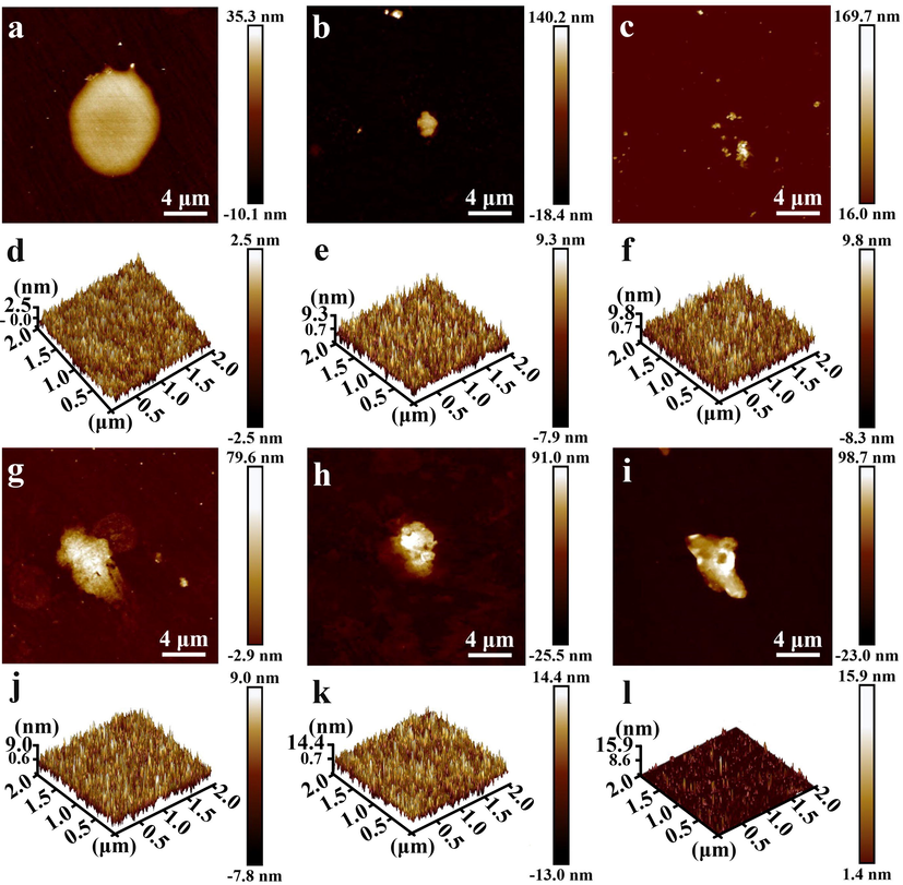 AFM images of the top surface of (a) Ge@MOSs-1, (b) Ge@MOSs-2, and (c) Ge@MOSs-3 with 4 h reaction time; 3D AFM image of (d) Ge@MOSs-1, (e) Ge@MOSs-2, and (f) Ge@MOSs-3 in areas other than the circular spot area with 4 h reaction time; AFM images of the top surface of (g) Ge@MOSs-1, (h) Ge@MOSs-2, and (i) Ge@MOSs-3 with 8 h reaction time; 3D AFM image of (j) Ge@MOSs-1, (k) Ge@MOSs-2, and (l) Ge@MOSs-3 in areas other than the circular spot area with 4 h reaction time.