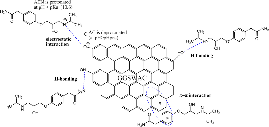 Mechanism of ATN adsorption onto gasified Glyricidia sepium (Ahmad et al., 2020).