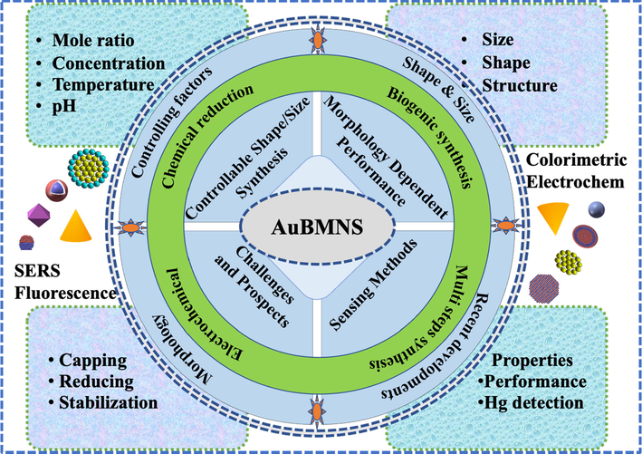 Schematic demonstration of the controllable synthesis of AuBMNS and their application in Hg detection. The chemical reduction approach with the impacts of different reaction parameters have been discussed for the morphology-controlled synthesis of AuBMNS. Recent examples of AuBMNS for Hg detection have been reviewed. Challenges and prospects are discussed for future research.