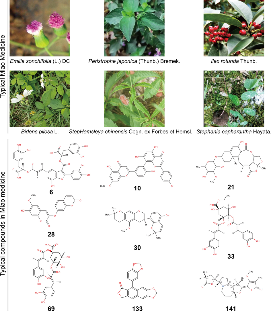 Typical Miao medicines and typical compounds in Miao medicine.