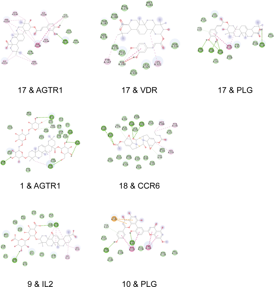 The results of molecular docking validation.