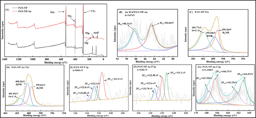 XPS survey spectra of PAN-NP and PAN-NP-Au (A), Au 4f spectrum (B), N 1 s spectrum (C) (D), P 2p spectrum (E) (F), S 2p spectrum (G).