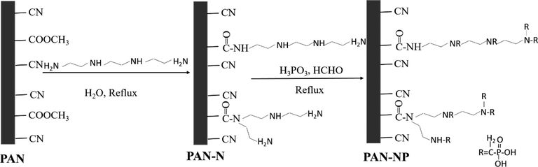 Schematic diagram of the synthesis of PAN.