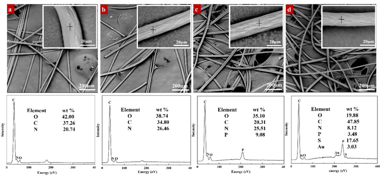 The SEM images and EDS analysis. (a: PAN, b: PAN-N, c: PAN-NP, and d: PAN-NP-Au).