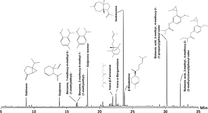 Total ion current chromatogram of PDREO by GC-Q/TOF-MS.