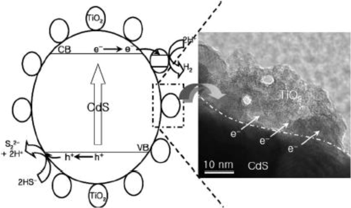 Hydrogen production mechanism for CdS bulk with nano sized TiO2 composite from H2S (Jang et al., 2006).