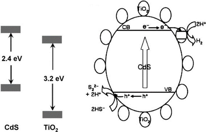 Hydrogen (H2) production model for CdS bulk with nano-sized TiO2 composite from H2S in presence of 0.1 M Na2S + 0.02 M Na2SO3 (Jang et al., 2007a).