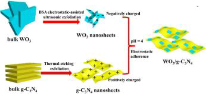 Schematic of 2D/2D WO3 /g-C3N4 composites preparation (Zhang et al., 2020).