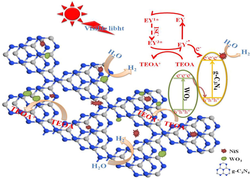 Schematic mechanism of WO3/g-C3N4 composite assisted with NiS for the hydrogen production (Zhang et al., 2020).