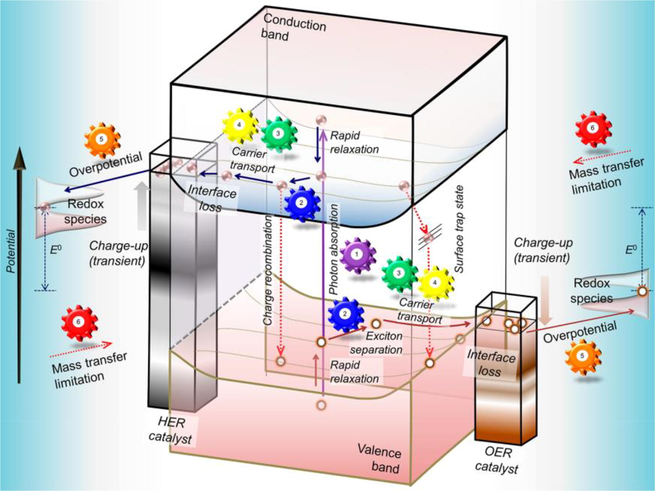 Mechanism of water splitting shows first mass transfer then light fall on it and oxidation reduction occur (Takanabe, 2017).