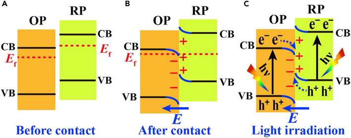 Schematic of S scheme for two general semiconductor OP and RP (A) Before contact (B) After Contact (C) Under light Irradiation (Xu et al., 2020b).