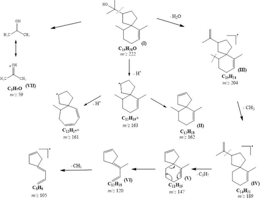 Full mass fragmentation of agarospirol.