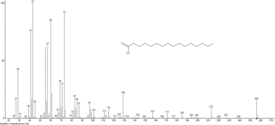 Mass Spectrum of n-Hexadecanoic acid from GCQTOF-MS.