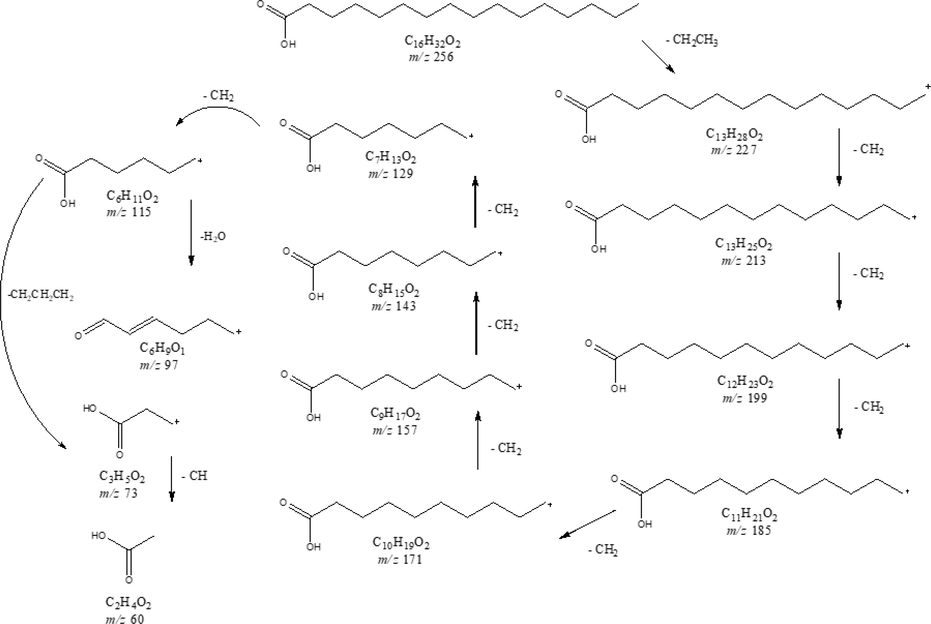 Mass fragmentation of n-Hexadecanoic acid.