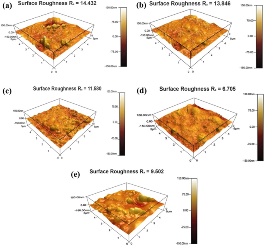 AFM morphology of the NiP-TiO2-ZrO2 deposits: (a) Without surfactant, With SDS. anionic surfactant [(b) 0.5 g/L, (c) 1.0 g/L, (d) 1.5 g/L, (e) 2.0 g/L].