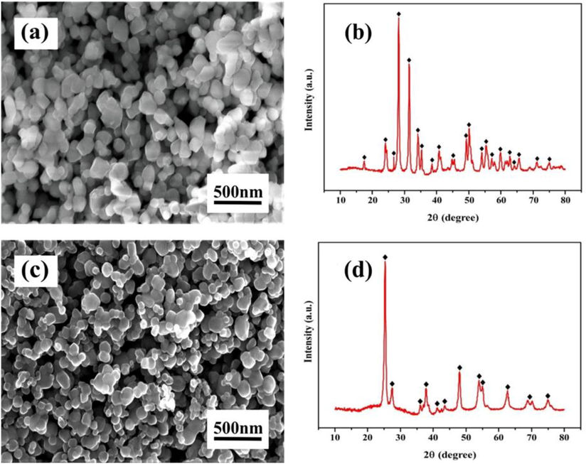 Surface morphology and elemental composition (a) ZrO2 nanoparticle and (b) TiO2 nanoparticle.