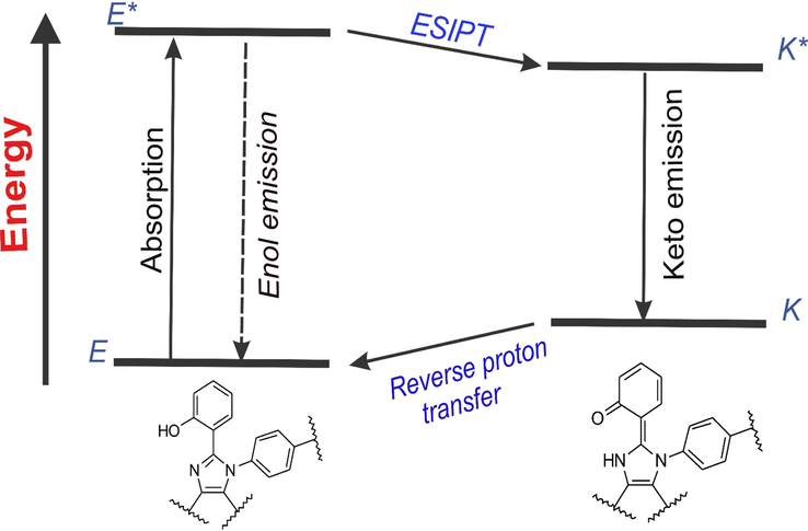 Pictorial expression of 4-level ESIPT process and the intramolecular hydrogen bonding in the tetra-substituted imidazole system.