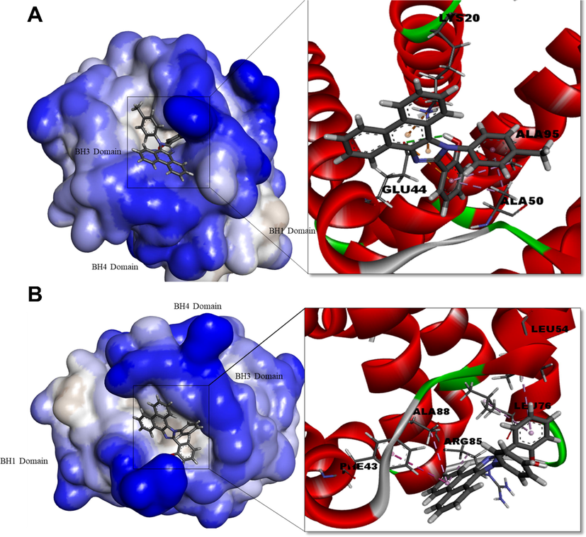 Human Bcl-xl protein complexed with PHPI (A) and PHPI-Cl (B). Surface representation of the protein structure displays ligand bound in the active site cavity of the receptor (left) and 3D interaction of ligand and receptor showing key interactions (right).