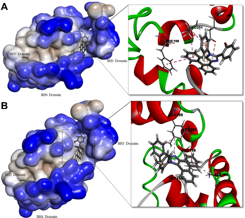 Human Bcl-2 protein complexed with PHPI (A) and PHPI-Cl (B). Surface representation of the protein structure displays ligand bound in the active site cavity of the receptor (left) and 3D interaction of ligand and receptor showing key interactions (right).