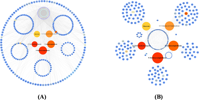Network visualization of multi-components and multi-targets relationships for the methanol extract of P. odoratum. (A) Interactional network of active components in methanol extract of P. odoratum and T2DM disease target proteins. (B) Network of hub components and corresponding T2DM target proteins. Node sizes in the network indicated the importance of the nodes in the network.