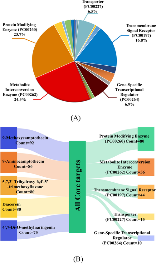 Pie chart of protein classification and Sankey diagram for top five protein classes. (A) Pie chart of PANTHER protein classes. (B) Sankey diagram of top five protein classes containing the most amount of core targets. The five hub components were shown on the left, while the top five protein classes with gene hits were displayed on the right, which were linked by all core targets of the five hub components.