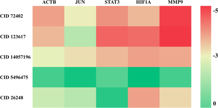 Heatmap of binding energies between potential active ingredients and core disease targets. The left side of the figure is the ID number of the active ingredient in PubChem, and the top of the figure is the core target name. The darker the color (red), the lower the binding energy and the easier the binding between the receptor and the ligand. CID 72402: 9-Aminocamptothecin, CID 123617: 9-Methoxycamptothecin, CID 14057196: 5-Hydroxy-1-tetralone, CID 5496475: 5,7,3′-Trihydroxy-6,4′,5′-trimethoxyflavone, CID 26248: Diacerein.