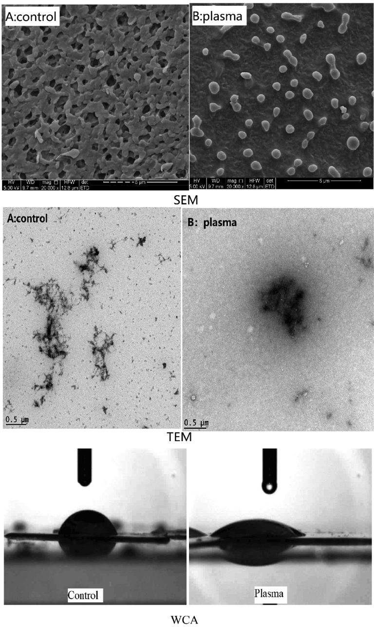 Morphology and Hydrophilicity changes of DP40 before and after low temperature plasma treatment. A for control and B for plasma treatment.