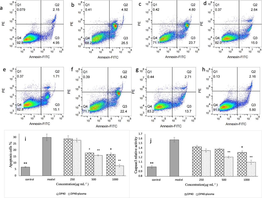 Effect of polysaccharide on apoptosis of injured GES-1 cells. a is the normal control group, b is the model group, and c is the DP40-L group (250 μg·mL−1), d is DP40-M group (500 μg·mL−1), e is DP40-H group (1000 μg·mL−1), f is DP40-plasma-L group, g is DP40-plasma-M group, h is DP40-plasma-H group, i is the apoptosis rate of each treatment group, and j is the caspase 3 enzyme activity in cells of each group.