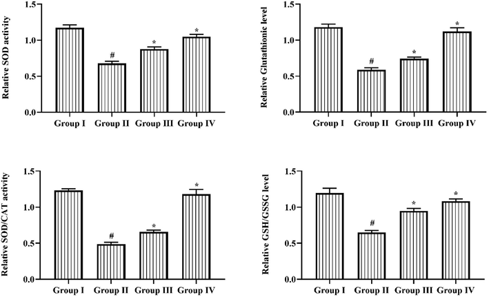 Outcome of Triptonide on antioxidants status in STZ induced DR rats. Outcome of triptonide on antioxidants status in STZ-induced DR rats. Outcomes were denoted as mean ± SD of triplicates. Statistics were reviewed by one-way ANOVA successively Tukey’s post hoc test. Note: ‘*’ p < 0.05 associated with control ‘#’ p < 0.01 associated with retinopathy rats. Group I: normal rats, Group II: DR induced rats by STZ (60 mg/kg). Group III: DR rats administered with the 25 mg/kg of triptonide. Group IV: DR rats treated with standard drug metformin (300 mg/kg).