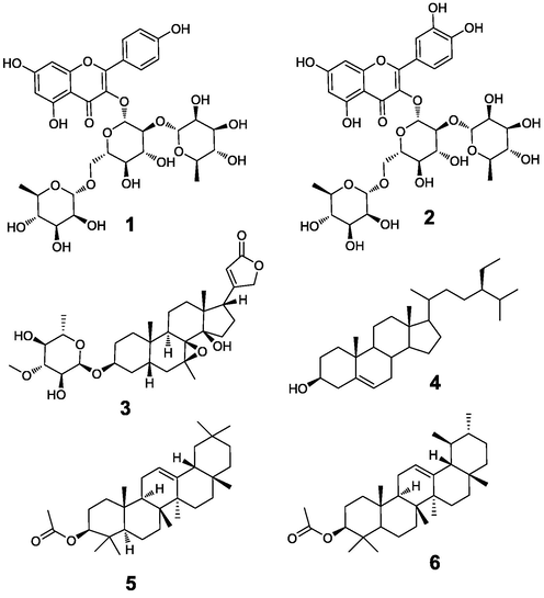 Structure of 1–6.