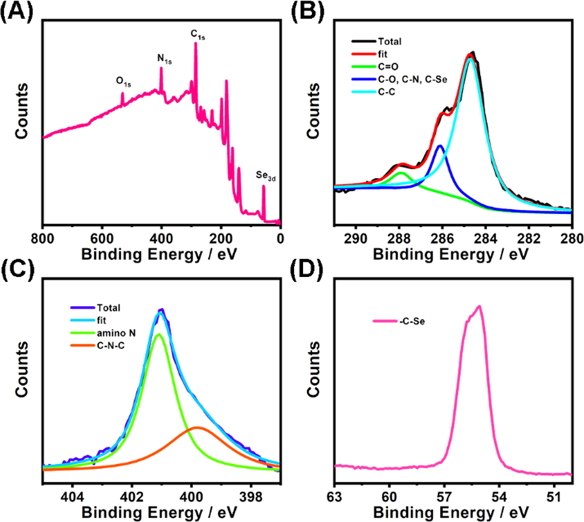 (A) XPS survey spectrum of Se-CDs. (B) High-resolution C1s spectrum of Se-CDs. (C) High-resolution N1s spectrum of Se-CDs. (D) High-resolution Se3d spectrum of Se-CDs.