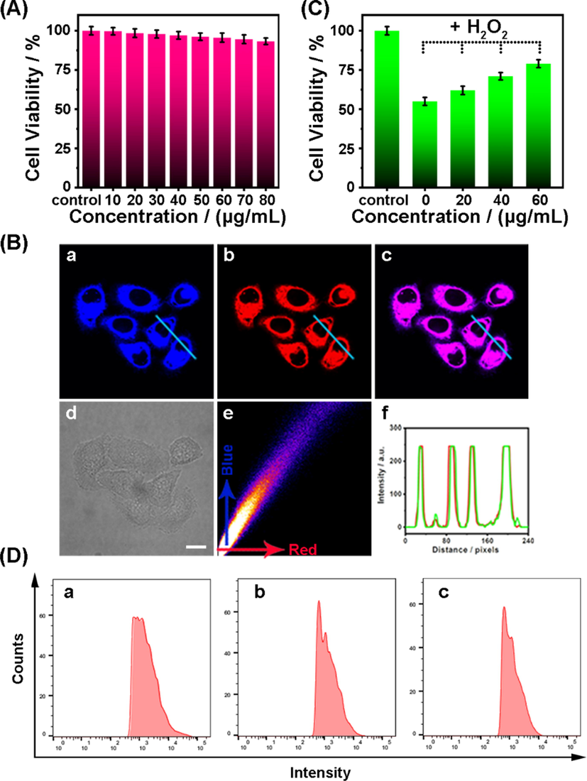 (A) Viabilities of HeLa cells incubated with different amounts of ER-Se-CDs. (B) Co-localization investigations in HeLa cells that were co-labeled with ER-Se-CDs (20 μg·mL−1) and ER-Tracker Red (50 nM): (a) fluorescence image from ER-Se-CDs (λem = 410–480 nm, λex = 405 nm); (b) fluorescence image from ER-Tracker Red (λem = 570–650 nm, λex = 552 nm); (c) the merged image of (a) and (b); (d) the bright field image; (e) the corresponding intensity correlation plot of the blue channel with red channel; (f) intensity profiles of ER-Se-CDs and ER-Tracker Red along the line across the cell. Scale bar: 10 μm. (C) Protective capabilities of ER-Se-CDs to HeLa cells from oxidative damage initiated by H2O2 (150 μΜ). Data showed are mean values and standard deviations from five independent experiments. (D) HeLa cells were co-incubated with DCFH-DA (10 µM) and PMA (3 μg·mL−1) with or without ER-Se-CDs and analyzed by flow cytometry: (a) DCFH-DA + PMA; (b) DCFH-DA + PMA + ER-Se-CDs (20·μg mL−1); (c) DCFH-DA + PMA + ER-Se-CDs (40 μg·mL−1).