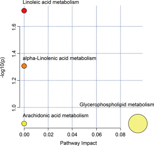 Enrichment of pathway analysis with MetaboAnalyst.