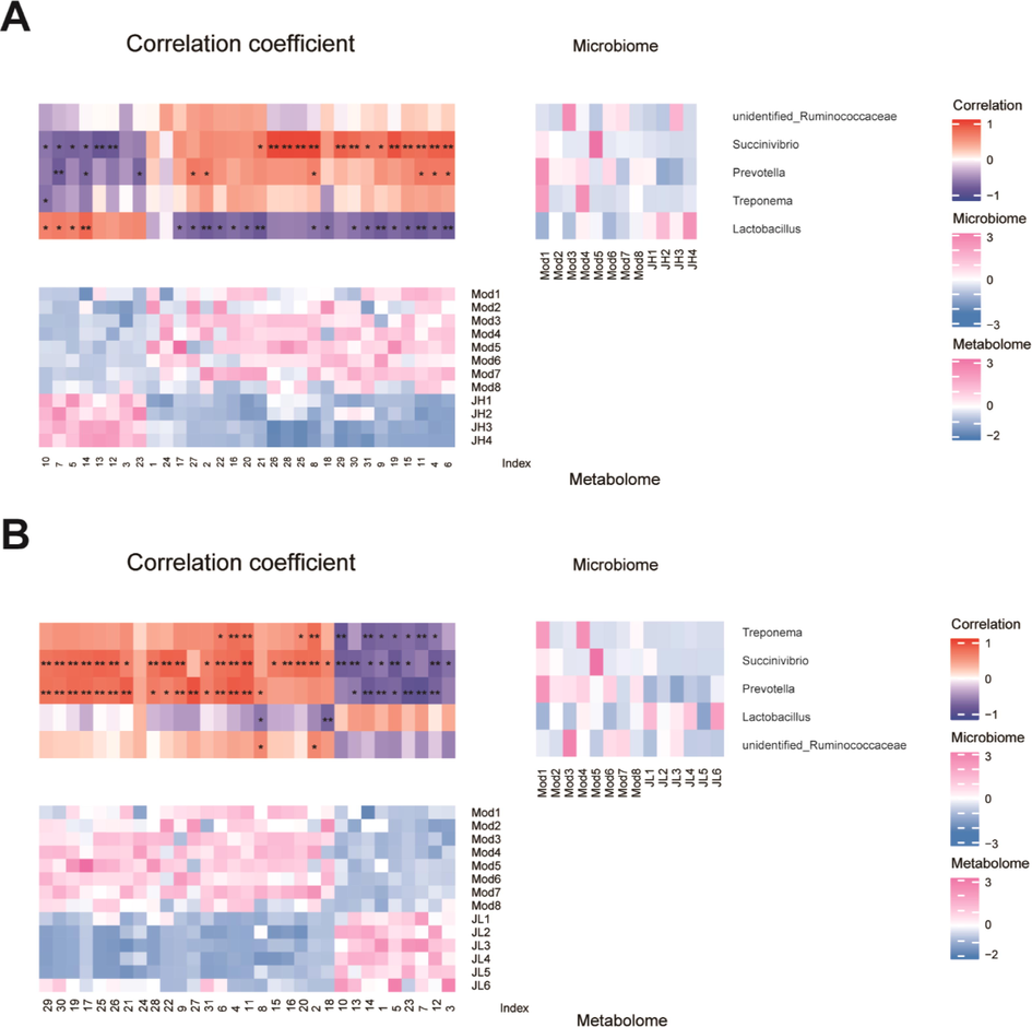 Heatmap of Pearson correlation analysis between bacteria and metabolites. (A) Heatmap of model and high-dose group. (B) Heatmap of model and low-dose group.