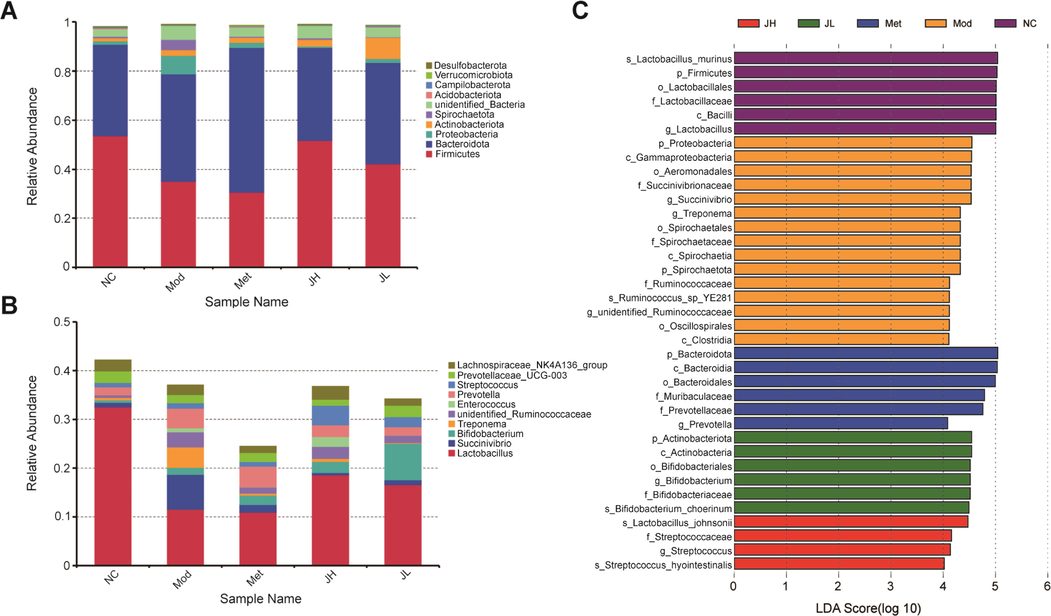 Gut microbiota species annotation analysis. (A) Histogram of relative abundance of species at the phylum level. (B) Histogram of relative abundance of species at the genus level. (C) Histogram of LDA value distribution in LEfSe analysis.