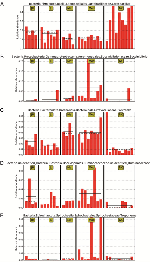 Effects of CT on intestinal microbial composition in T2DM. (A) Lactobacillus. (B) Succinivibrio. (C) Prevotella. (D) unidentified Ruminococcaceae. (E) Treponema. (NC) normal group; (Mod) model group; (Met) positive group; (JH) high dose group; (JL) low dose group.