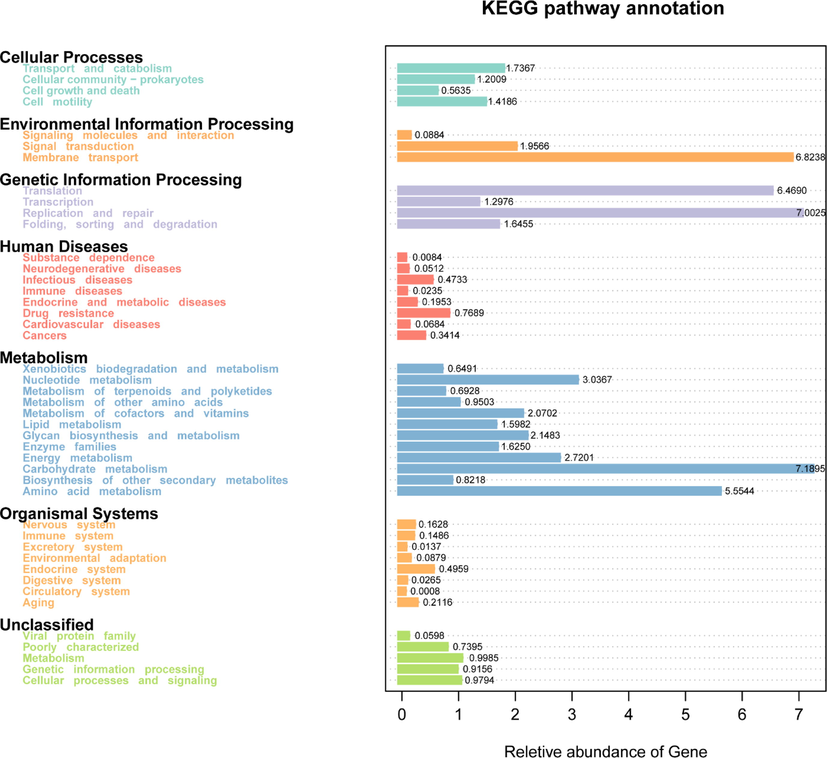 Functional predictive analysis.