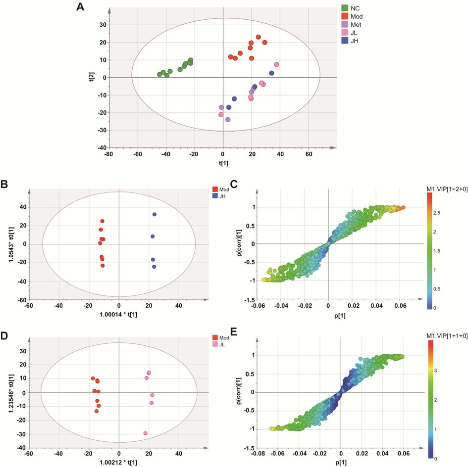 Multivariate analyses of urine UHPLC-QTOF-MS/MS spectra data. (A) Principal Component Analysis (PCA) scores plot. (B, C) OPLS-DA score plot and S-plot for high-dose and model group. (D, E) OPLS-DA score plot and S-plot for low-dose and model group. (NC) normal group; (Mod) model group; (Met) positive group; (JH) high dose group; (JL) low dose group.