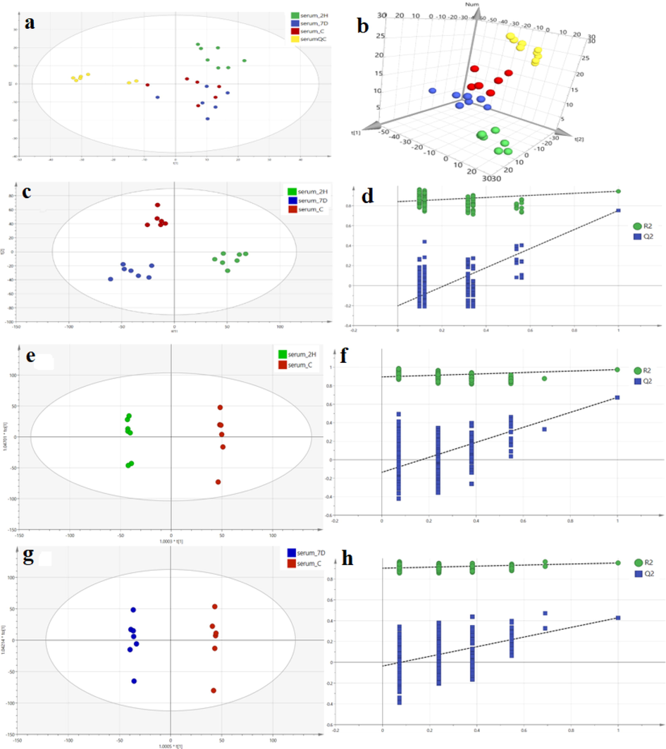 PCA score plots (a:2D, b:3D) for all samples (C: blank control group, 2H: single dose, 7D: continuous 7-day dosing group, QC: quality control group). Plot of PLS-DA scores (c) and substitution test (d) for the control, 2H and 7D groups. OPLS-DA score plots and replacement test plots for the control, 2H and 7D groups. Score graph (e) and replacement test graph (f) for the 2H group and the control group. Score plots (g) and replacement test plots (h) for group 7D versus control group.