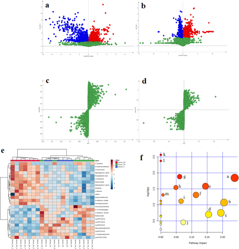 Volcano plot (a) Control group vs. single dose group (b) Control group vs. 7-day dosing group. S-plot (c and d) of control group, 2H group and 7D group. Heat map of cluster analysis (e). (Serum 2H: 2 h administration group; serum 7D: 7 d administration group; serum c: control group). (f) Differential metabolic pathway enrichment maps of control and 4-CEC administration groups (a: tryptophan metabolism, b: arginine and proline metabolism, c: niacin and nicotinamide metabolism, d: retinol metabolism, e: ether lipid metabolism, f: alanine, aspartate and glutamate metabolism, g: arginine biosynthesis, h: sphingolipid metabolism, i: glycerophospholipid metabolism, j: glycine, serine and threonine metabolism, k: aminoacyl tRNA biosynthesis, l: valine, leucine and isoleucine biosynthesis, m: glutathione metabolism).