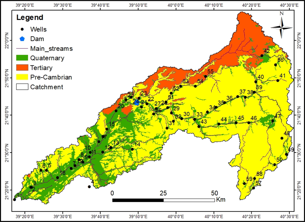 Location of sampling wells, geology and drainage pattern in the Wadi Fathima basin. Numbers – sampled wells number.