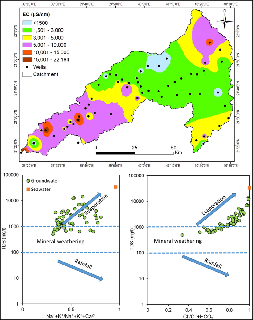 Spatial distribution of EC and predominant geochemical processes in Wadi Fathima basin.