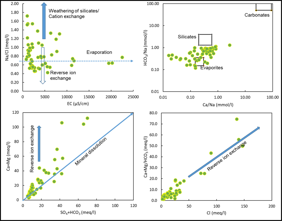 Geochemical processes regulating water chemistry in Wadi Fathima basin.