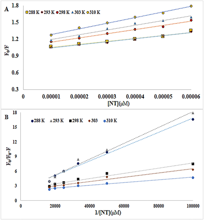 A) The Stern–Volmer diagrams of the quenching of BSA fluorescence by NT at five different temperatures B) Modified Stern-Volmer plots for quenching of BSA upon interaction with NT at five different temperatures.